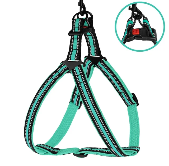 Шлея BronzeDog Mesh Стандарт для собак, сетчатый нейлон, ментоловый, 45-60 см