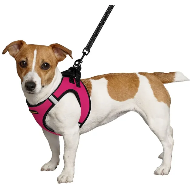 Шлея BronzeDog Sport Vest для собак из нейлона, неопрена и 3D сетки, розовый, 29-34 см