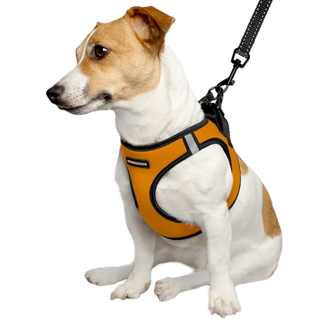 Шлея BronzeDog Sport Vest для собак из нейлона, неопрена и 3D сетки, оранжевый, 26-29 см