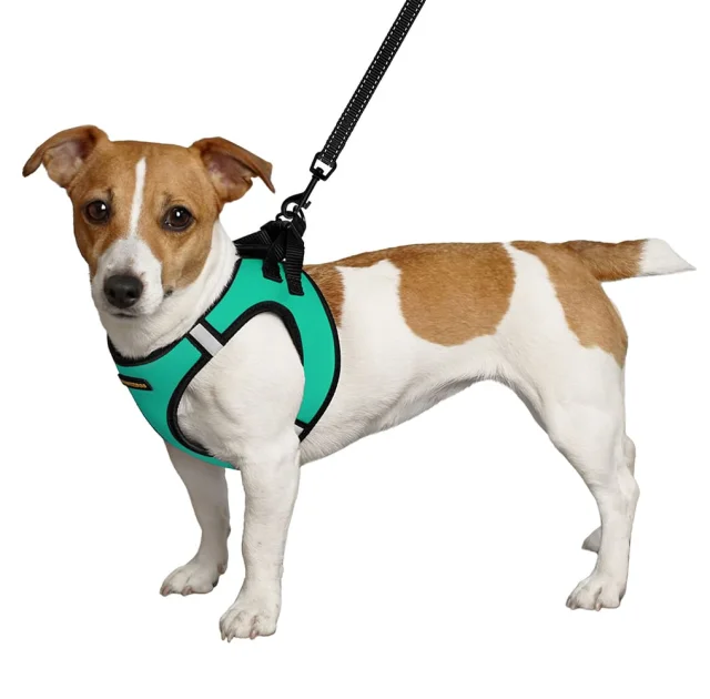 Шлея BronzeDog Sport Vest для собак из нейлона, неопрена и 3D сетки, ментоловый, 24-26 см