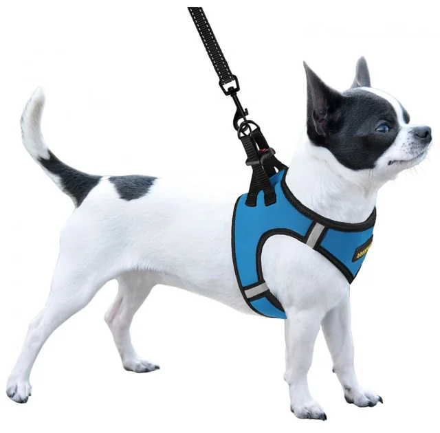 Шлея BronzeDog Sport Vest для собак из нейлона, неопрена и 3D сетки, голубой, 42-47 см