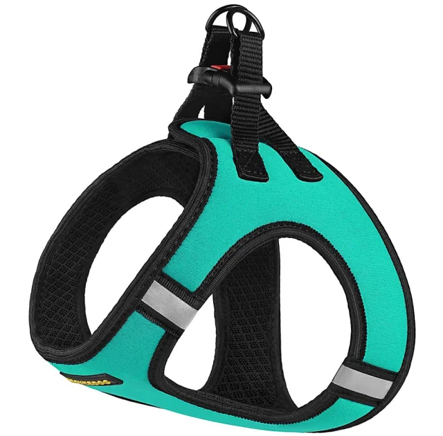 Шлея BronzeDog Sport Vest для собак из нейлона, неопрена и 3D сетки, ментоловый, 42-47 см