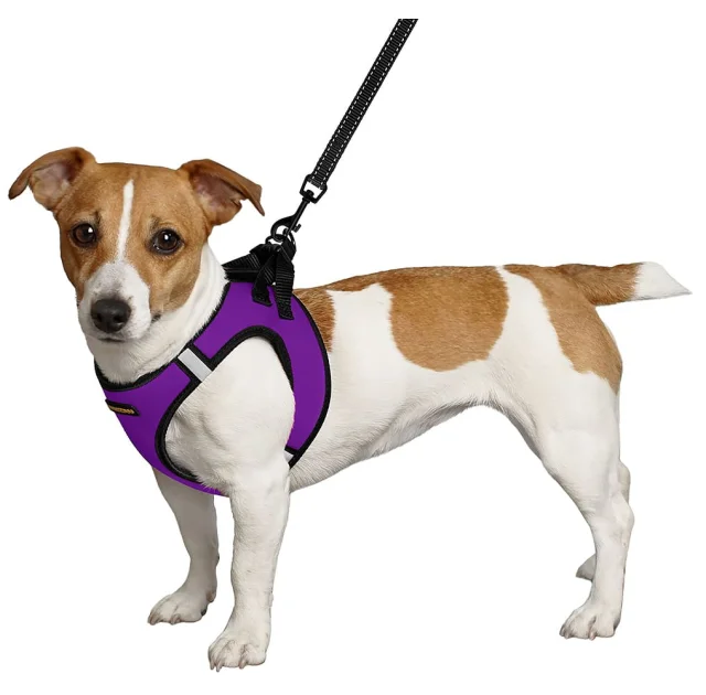 Шлея BronzeDog Sport Vest для собак из нейлона, неопрена и 3D сетки, фиолетовый, 42-47 см