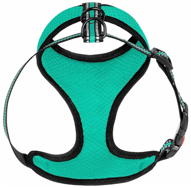 Шлея BronzeDog Mesh для собак мелких пород, сетчатый нейлон, ментоловый, 35-38 см