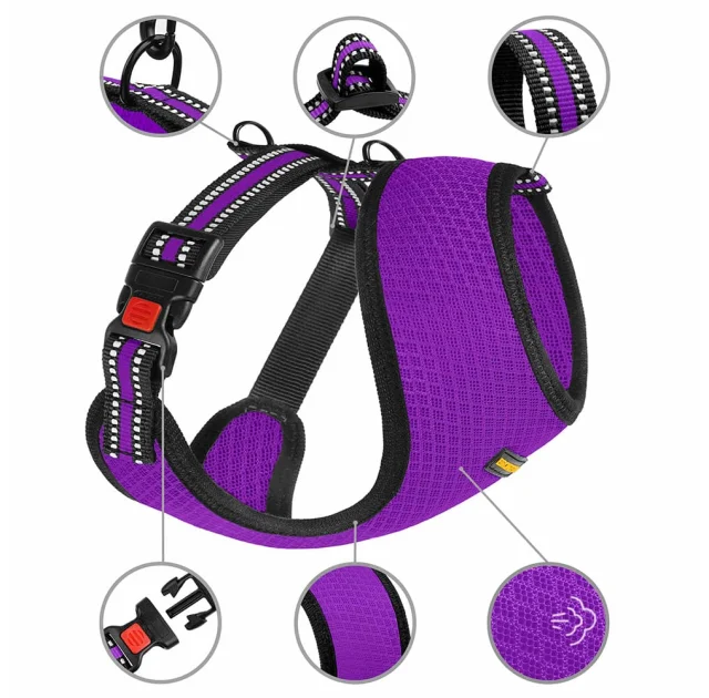 Шлея BronzeDog Mesh для собак мелких пород, сетчатый нейлон, фиолетовый, 35-38 см