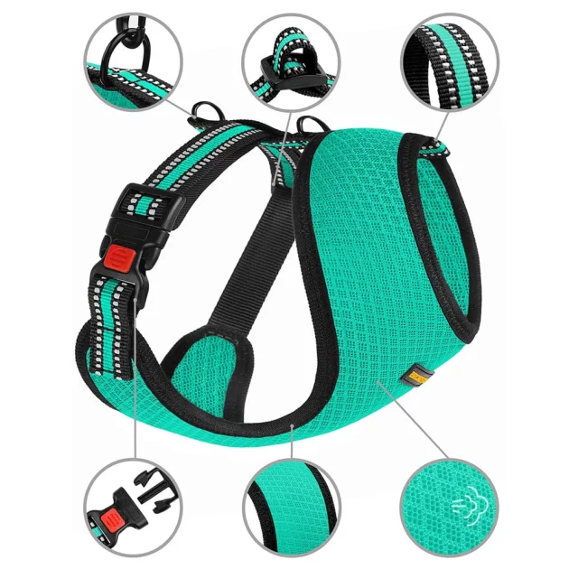 Шлея BronzeDog Mesh для собак мелких пород, сетчатый нейлон, ментоловый, 40-46 см