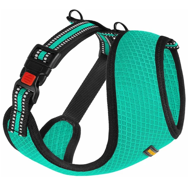 Шлея BronzeDog Mesh для собак мелких пород, сетчатый нейлон, ментоловый, 40-46 см
