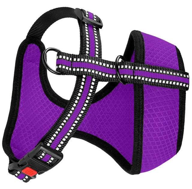 Шлея BronzeDog Mesh для собак мелких пород, сетчатый нейлон, фиолетовый, 40-46 см