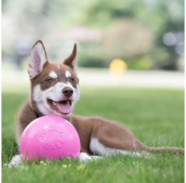 Іграшка Jolly Pets Bounce-n-Play м'яч великий, для собак від 27 кг, рожевий, 18 см