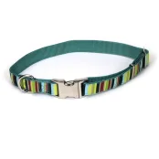 Ошейник Coastal Pet Attire Ribbon для собак, нейлон, разноцветный, 46-66×2.5 см