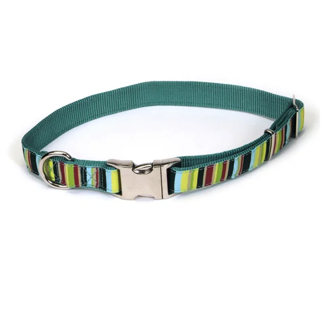 Ошейник Coastal Pet Attire Ribbon для собак, нейлон, разноцветный, 46-66×2.5 см