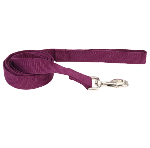 Повідець Coastal New Earth Soy Dog Leash для собак, фіолетовий, 183×2.5 см