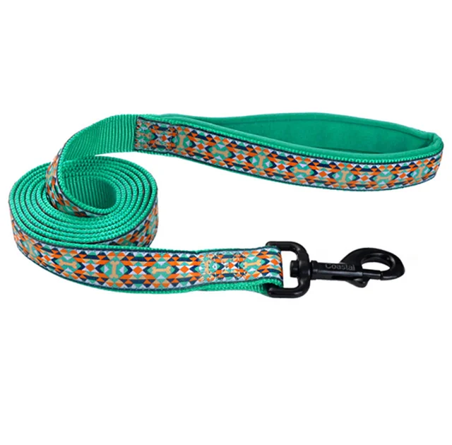 Поводок Coastal Ribbon Weave Leash для собак, темно-бирюзовый с косточками, 160-180 см