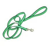 Повідець Coastal Trendz Graduated для собак, нейлонова стрічка, зелений, 180×2.5 см