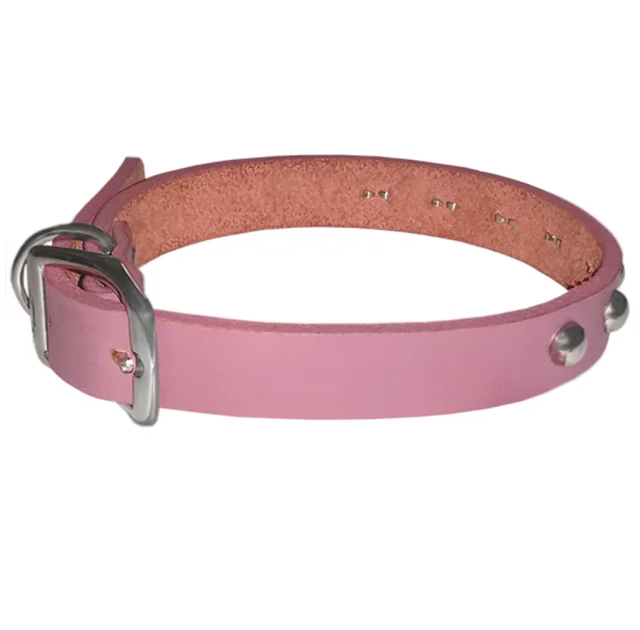 Ошейник Coastal Circle-T Fashion для собак, кожаный, с клёпками, розовый, 35×1.6 см