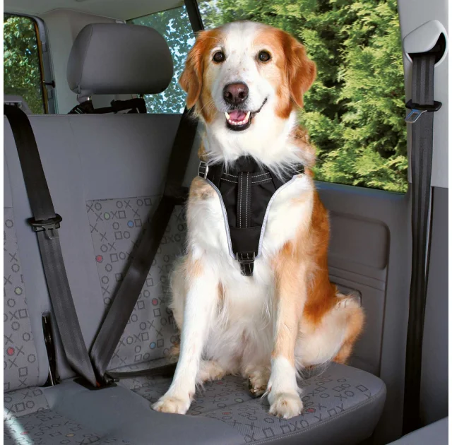 Шлея в авто Trixie Dog Protect для собак чорний, 20 мм, 50-65 см