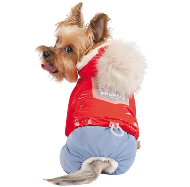 Комбінезон Pet Fashion Pretty для собак, костюм дівчинка, розмір XS2