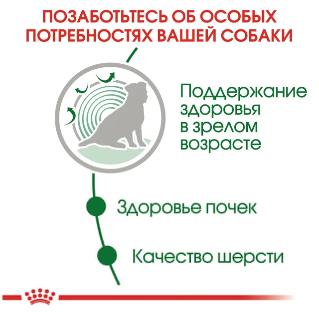 Влажный корм Royal Canin Mini Ageing 12+ для собак мелких пород старше 12 лет, кусочки в соусе, 85 г