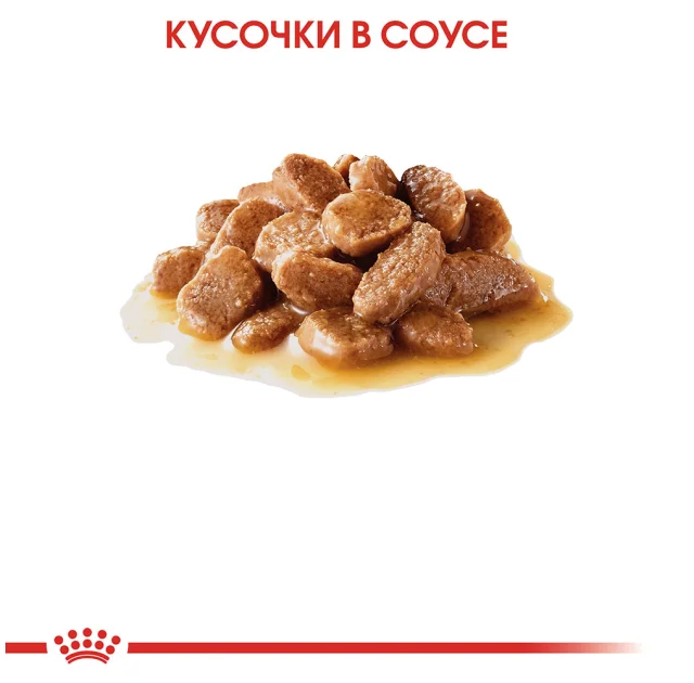 Влажный корм Royal Canin Mini Ageing 12+ для собак мелких пород старше 12 лет, кусочки в соусе, 85 г