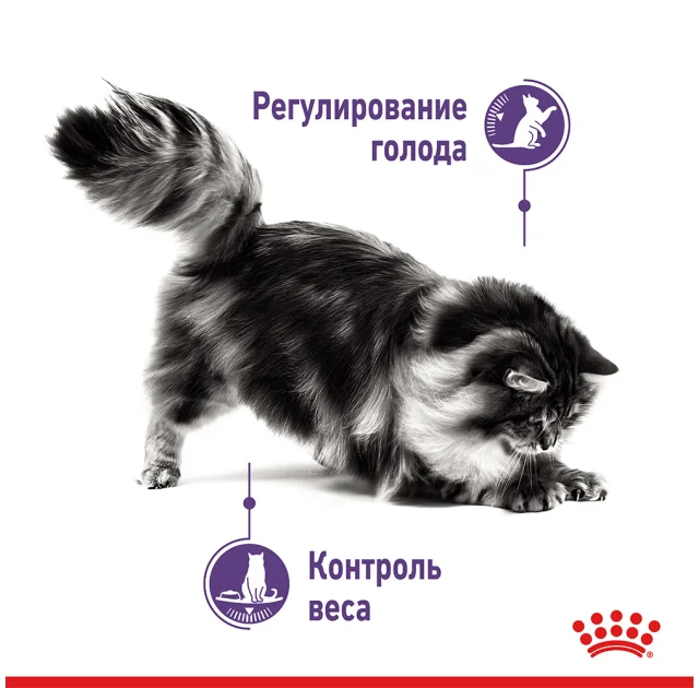 Влажный корм Royal Canin Appetite Control Care кусочки в желе, для стерилизованных кошек, 85 г