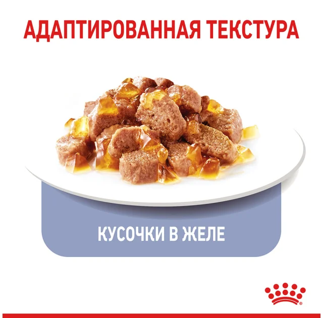 Влажный корм Royal Canin Appetite Control Care кусочки в желе, для стерилизованных кошек, 85 г