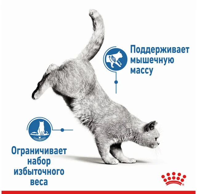 Вологий корм Royal Canin Light Weight Care паштет, для котів схильних до зайвої ваги, 85 г