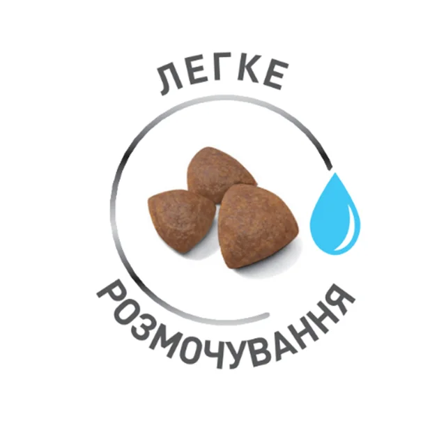 Сухий корм Royal Canin Mini Starter для годуючих собак дрібних порід, 1 кг