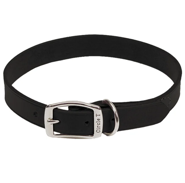 Шкіряний нашийник Coastal Circle T Leather Town для собак, чорний, 2×50 см