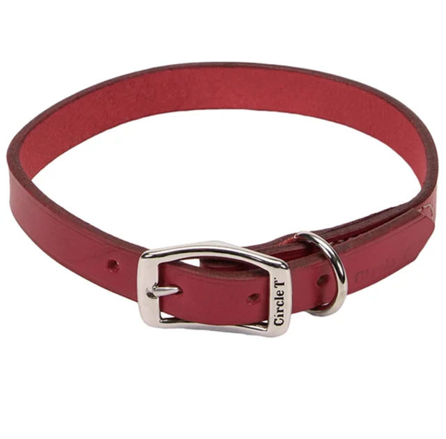 Шкіряний нашийник Coastal Circle T Leather Town для собак, червоний, 2.5×55 см