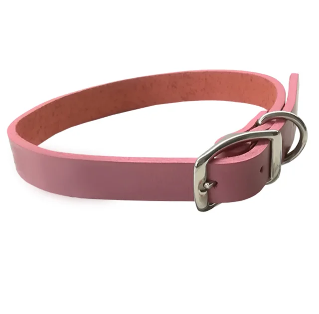 Шкіряний нашийник Coastal Circle-T Fashion для собак, рожевий, 1.6×35 см