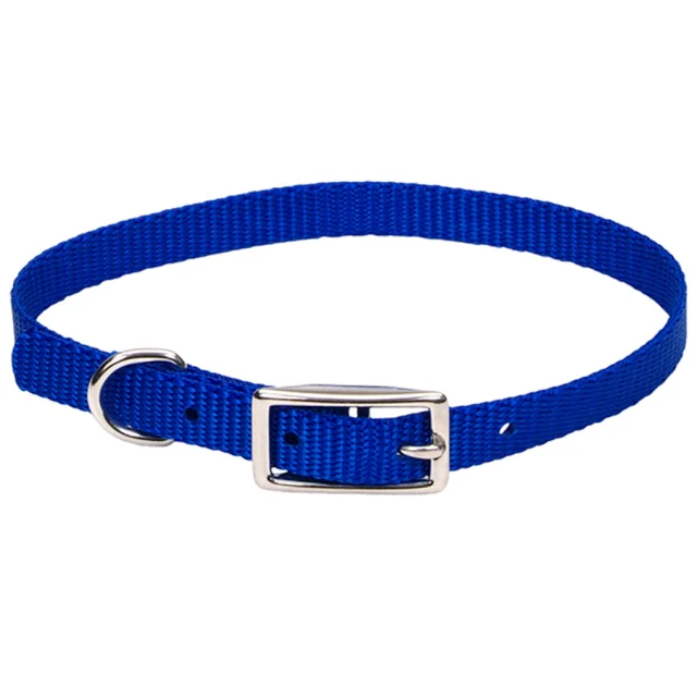 Ошейник Coastal Nylon Web для собак, синий, 1×25 см