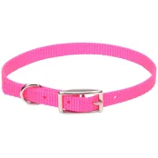 Ошейник Coastal Nylon Web для собак, ярко-розовый, 1×30 см