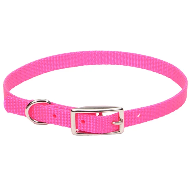 Нашийник Coastal Nylon Web для собак, ярко-рожевий, 1×30 см