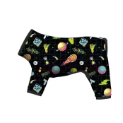 Дощовик Waudog Clothes для собак, малюнок "Рік і Морті 2", L55