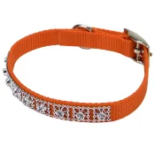 Нашийник Coastal Jeweled для собак, помаранчевий, 1×30 см