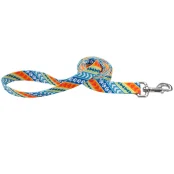 Нейлоновий поводок Coastal Pet Attire для собак, 1×1.8 см