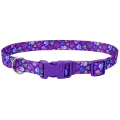 Ошейник Coastal Pet Attire Style для собак, лапка, 1×12-30 см