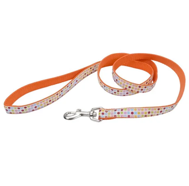 Повідець Coastal Pet Attire Ribbon для собак, різнокольоровий, 1.6×1.2 м