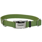 Ошейник Coastal Titan Buckle для собак, зеленый, 2×30-45 см