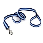 Поводок Coastal Trendz Graduated для собак, синий, 1×1.8 м