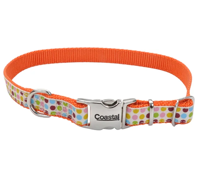 Нашийник Coastal Pet Attire Ribbon для собак, різнокольоровий, 1.6×45 см