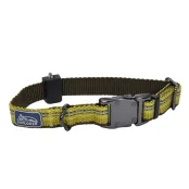 Нейлоновый ошейник Coastal K9 Explorer для собак, желтый, 2.5×30-45 см