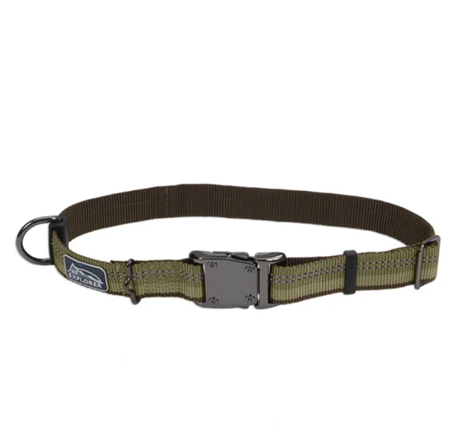 Нейлоновый ошейник Coastal K9 Explorer для собак, зеленый, 2.5×30-45 см