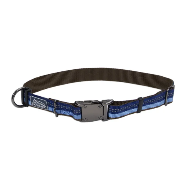 Нейлоновый ошейник Coastal K9 Explorer для собак, синий, 2.5×45-65 см