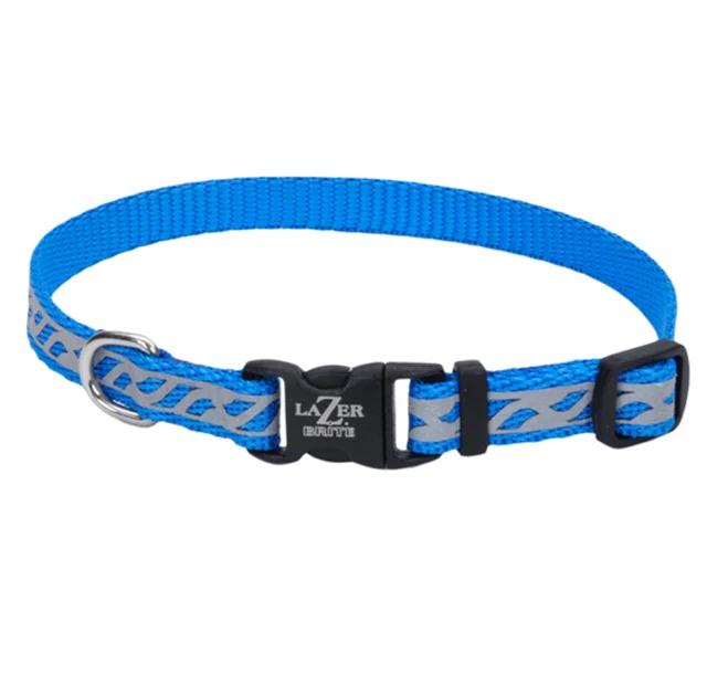 Светоотражающий ошейник Coastal Lazer для собак, голубой, 1×20-30 см