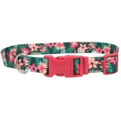 Нашийник Coastal Pet Attire Style для собак, Реском, 1.6×35 см