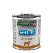 Вологий Farmina Vet Life Convalescence для собак, дієта для відновлення харчування та одужання, 300 г