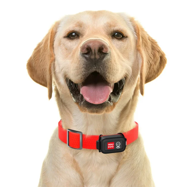 GPS трекер Waudog Device, для собак