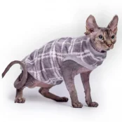 Кофта без рукавів Style Pets GUCH для котів, в клітинку, розмір S