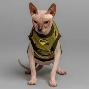 Майка Style Pets Multikam для котів, принт, розмір XL-